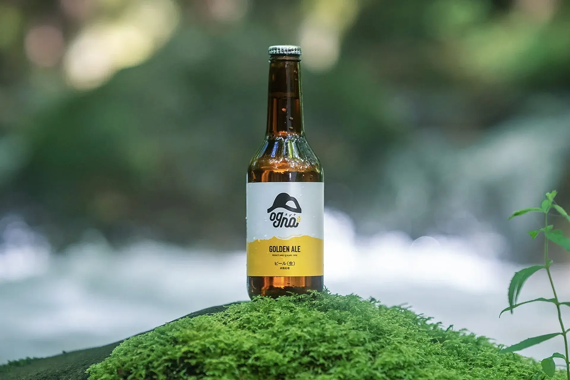 南信州ビール“ogna（オグナ）”リブランディング