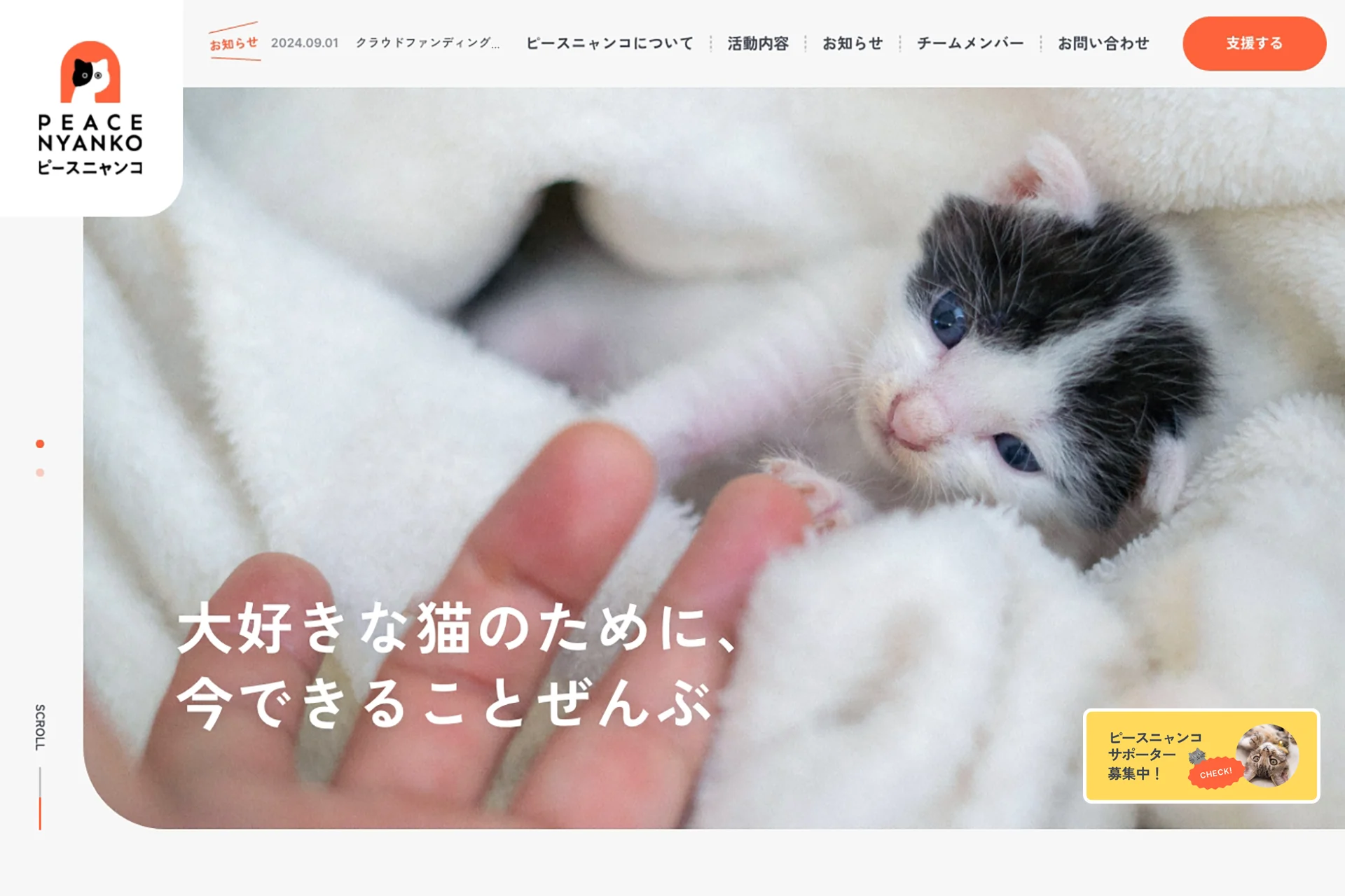 「ピースニャンコ」ブランディング&サイト制作